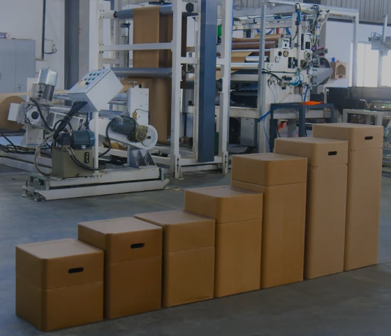 Eco-friendly Packaging Solutions